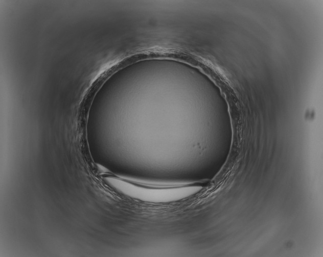 X0000097911160200803281356