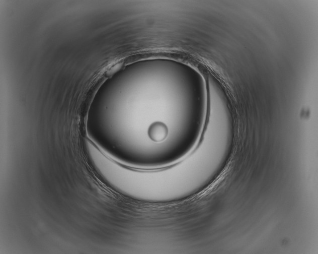 X0000097911161200803281355