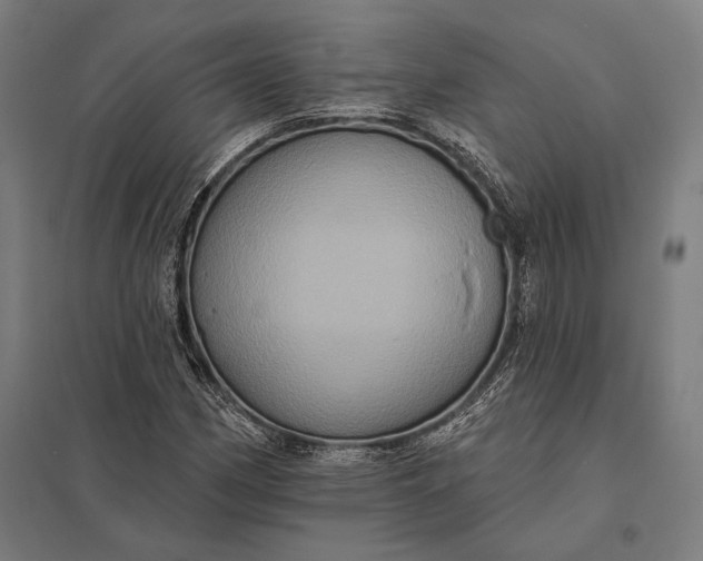 X0000097911162200803281355