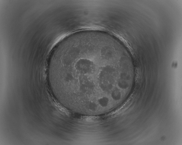 X0000097911163200803281355