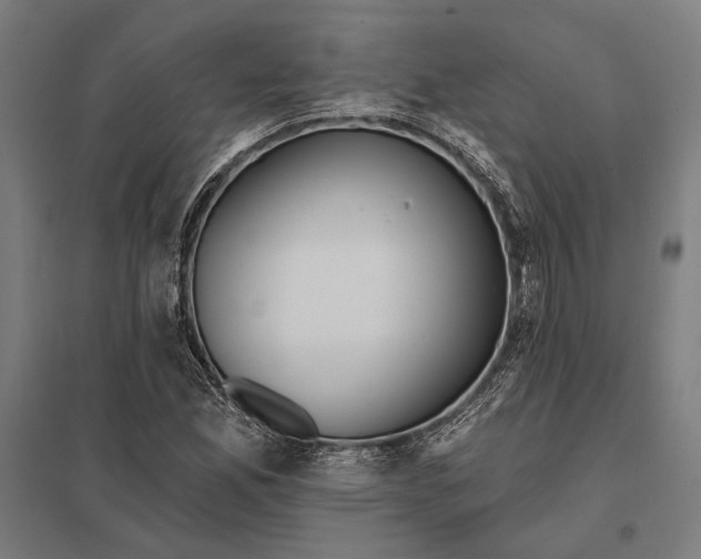 X0000097911165200803281355