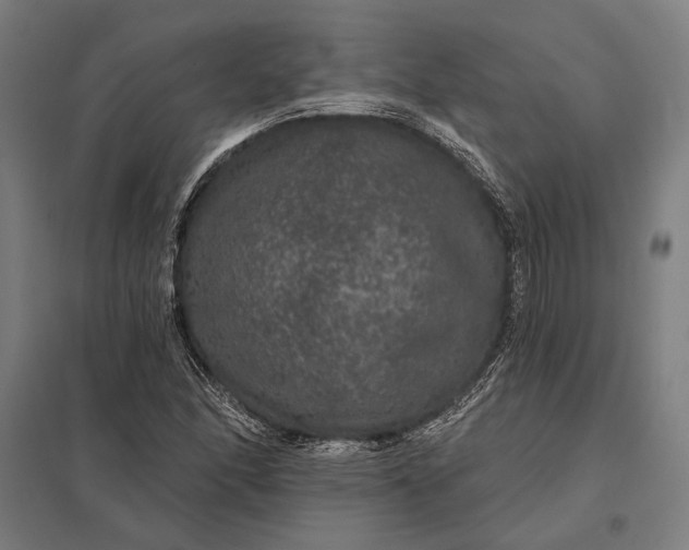 X0000097911166200803281355