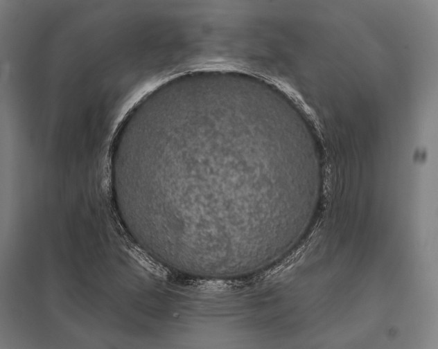 X0000097911167200803281355