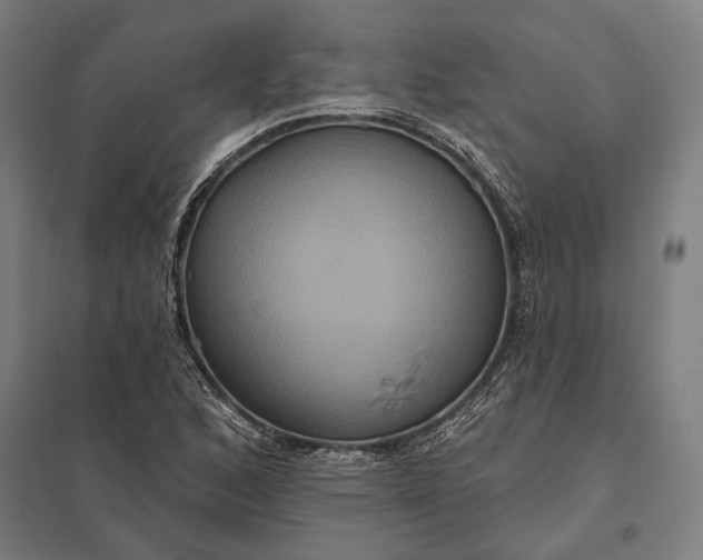 X0000097911168200803281355