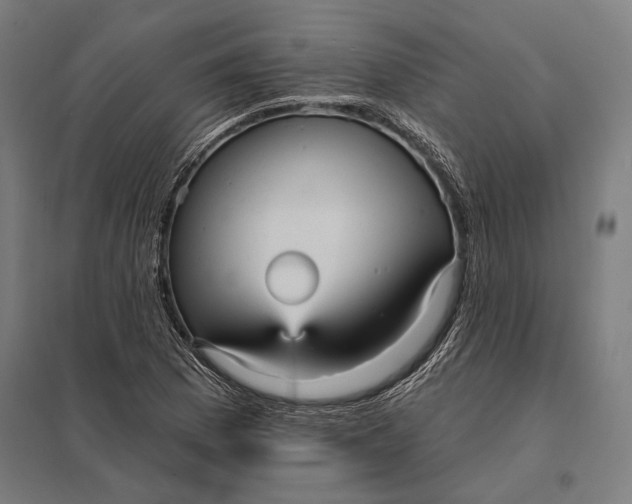 X0000097911169200803281355