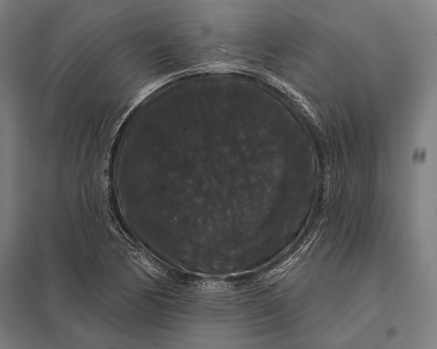 X0000097911170200803281355