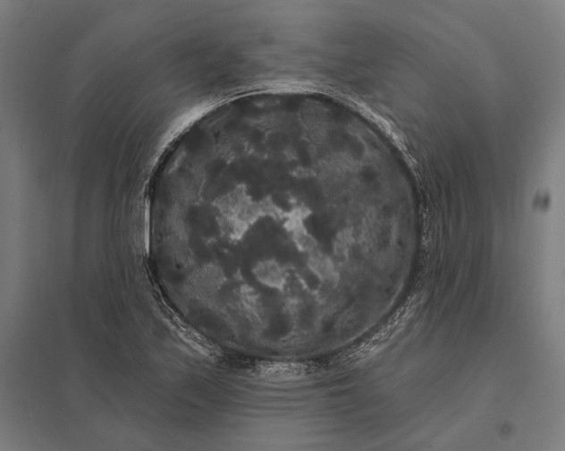 X0000097911171200803281355