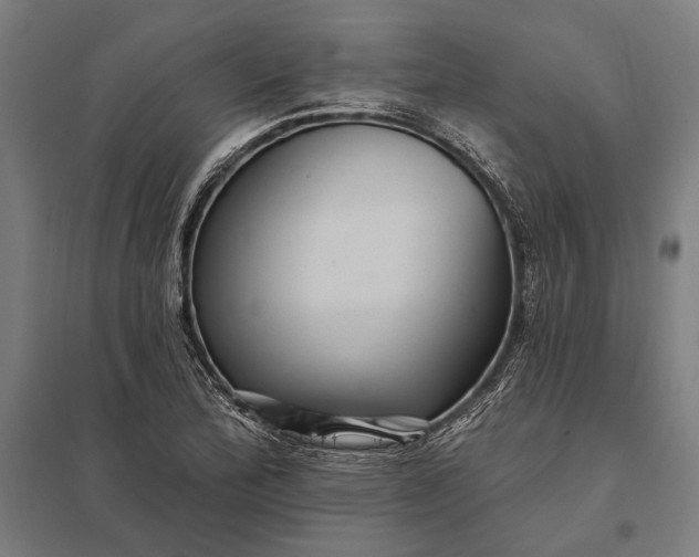 X0000097911172200803281355