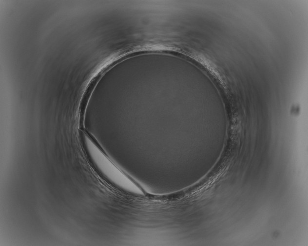 X0000097911173200803281355