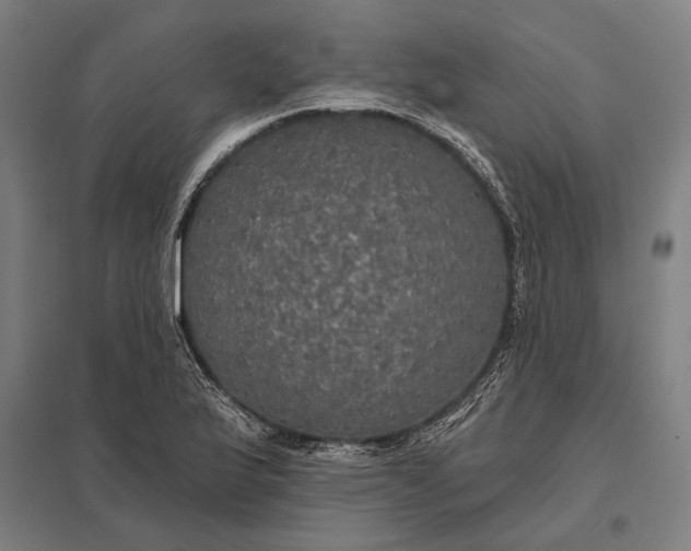 X0000097911175200803281355