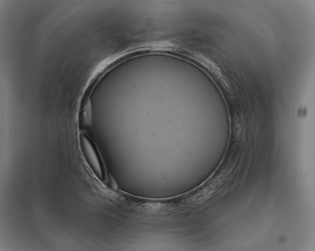 X0000097911176200803281355