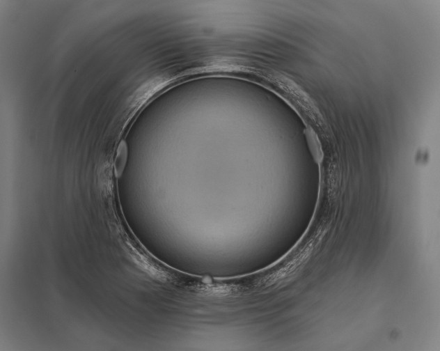 X0000097911177200803281355