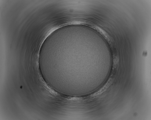 X0000097911178200803281355