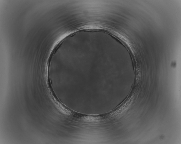 X0000097911179200803281355