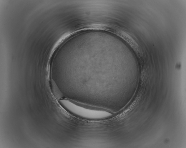 X0000097911180200803281355