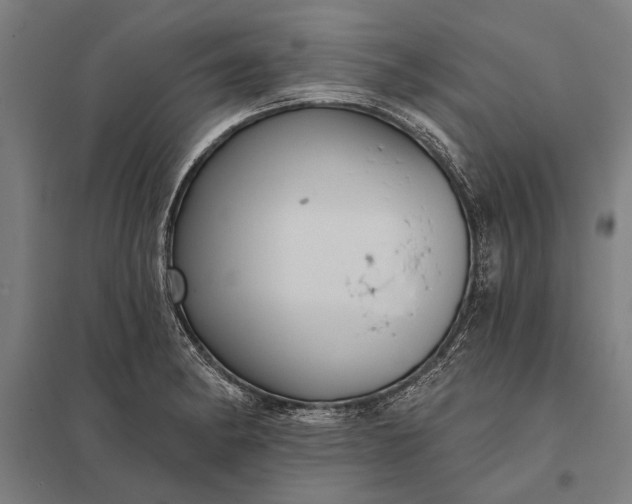 X0000097911182200803281355