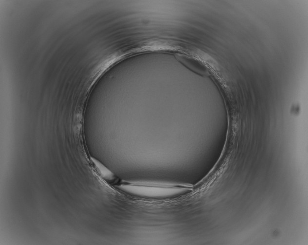 X0000097911185200803281355