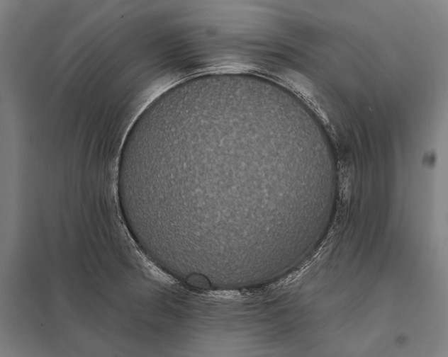 X0000097911186200803281355