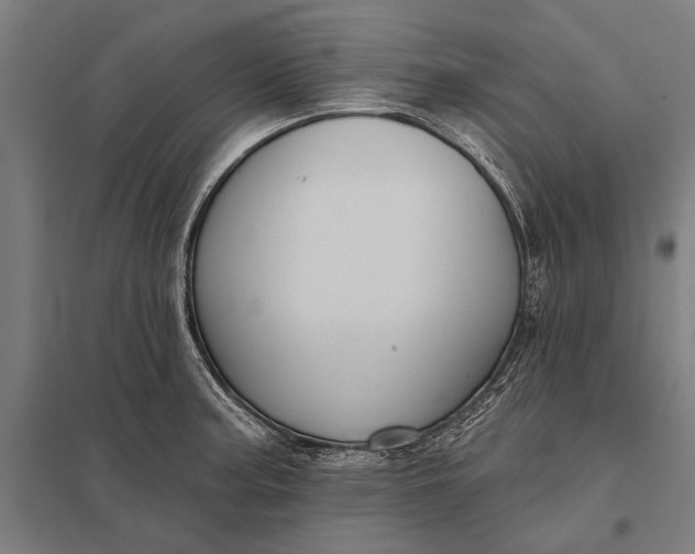 X0000097911187200803281355