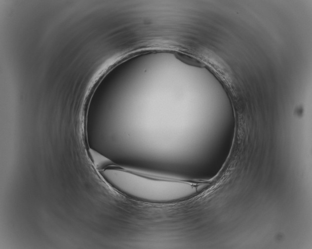 X0000097911188200803281355