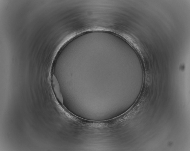 X0000097911189200803281355