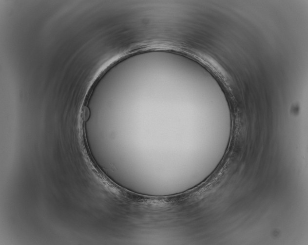 X0000097911190200803281355