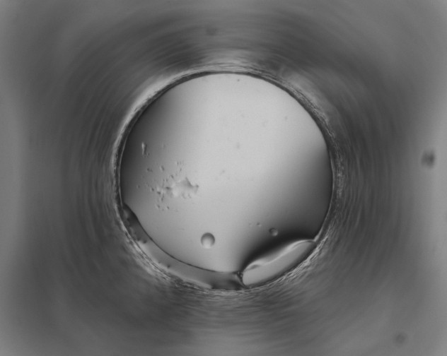 X0000097911192200803281355