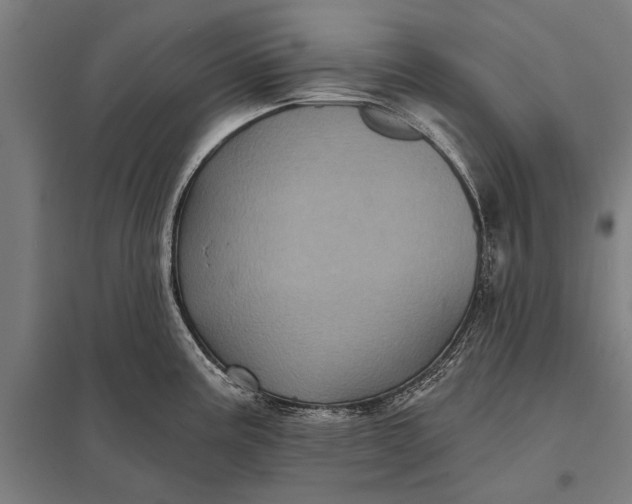 X0000097911195200803281355