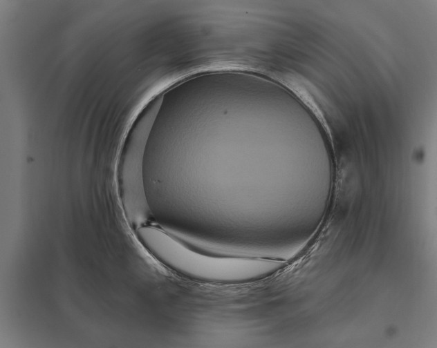 X0000097911197200803281355