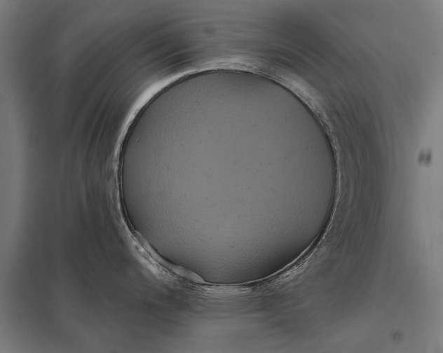 X0000097911200200803281355