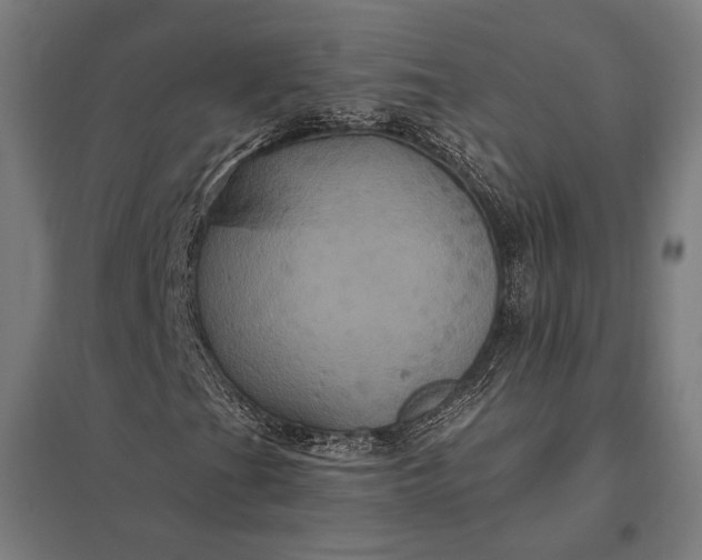 X0000097911201200803281354