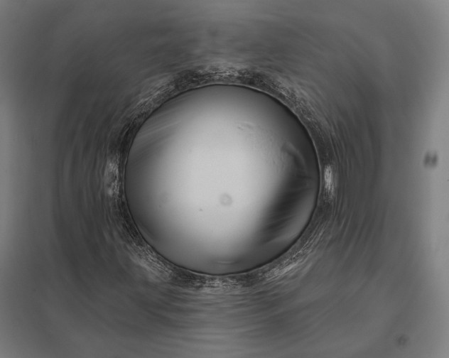 X0000097911203200803281354