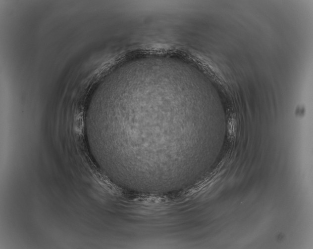 X0000097911204200803281354