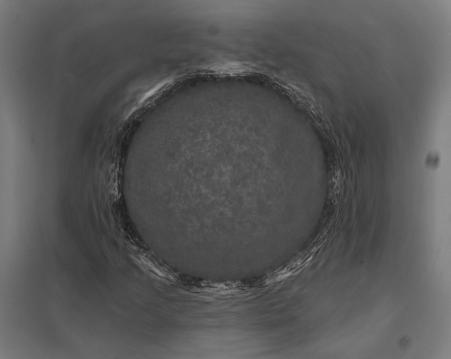 X0000097911205200803281354