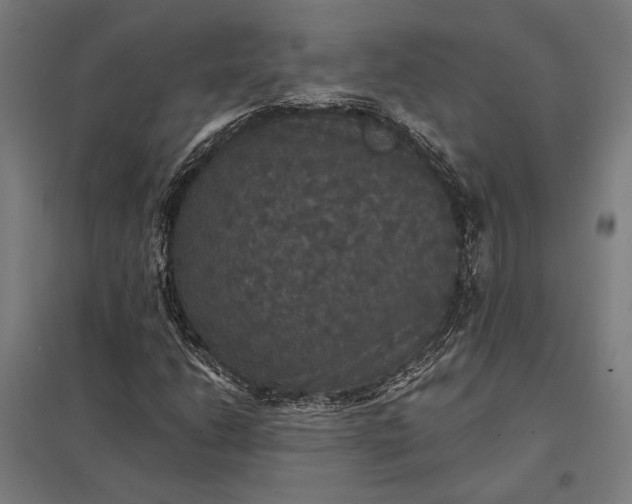 X0000097911206200803281354