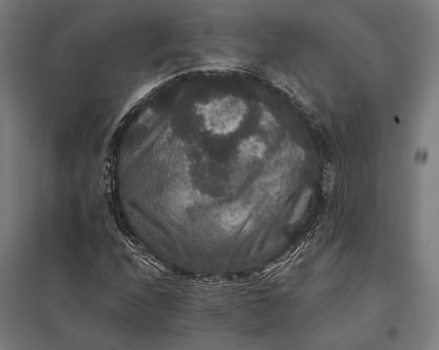 X0000097911208200803281354