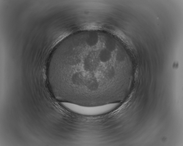 X0000097911209200803281354