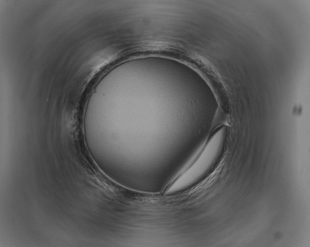 X0000097911210200803281354