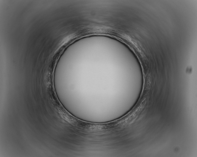 X0000097911211200803281354