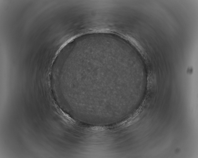 X0000097911212200803281354