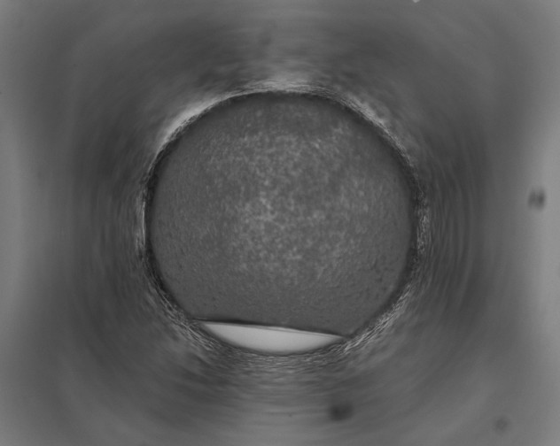 X0000097911214200803281354