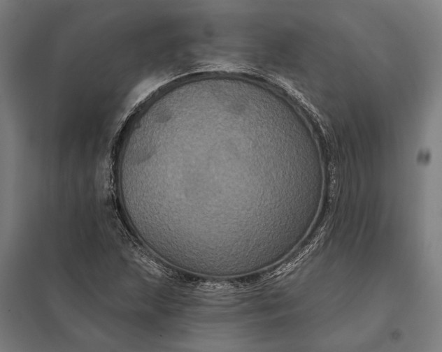 X0000097911215200803281354