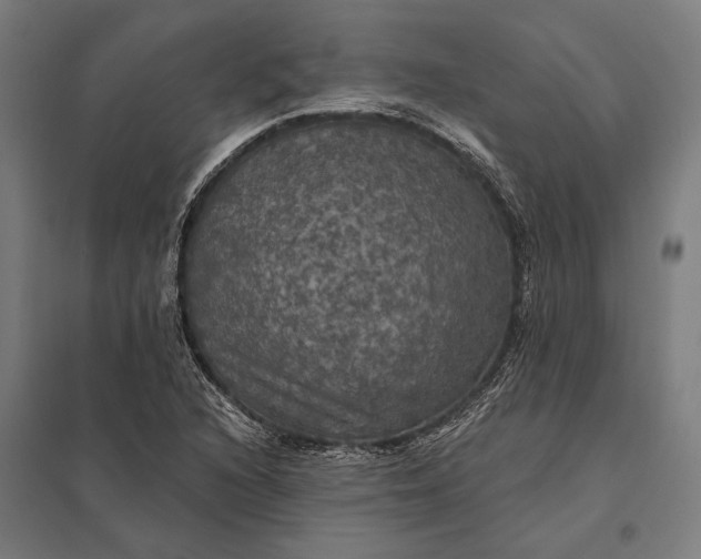 X0000097911216200803281354