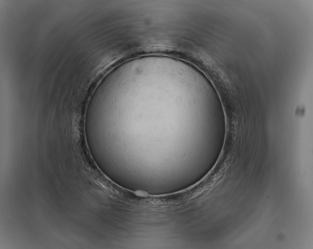 X0000097911217200803281354