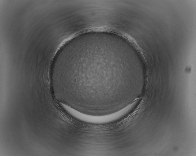 X0000097911218200803281354