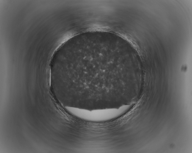 X0000097911219200803281354