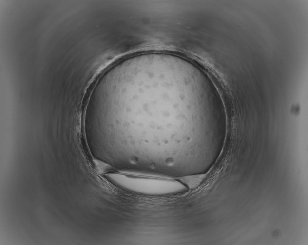 X0000097911220200803281354