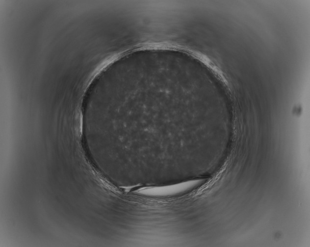 X0000097911221200803281354