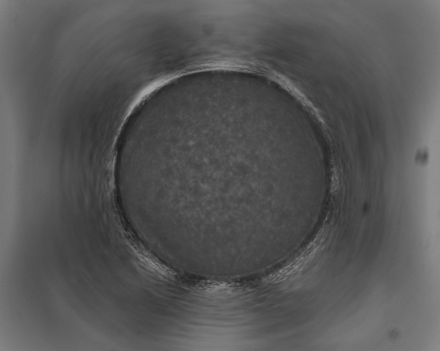 X0000097911222200803281354