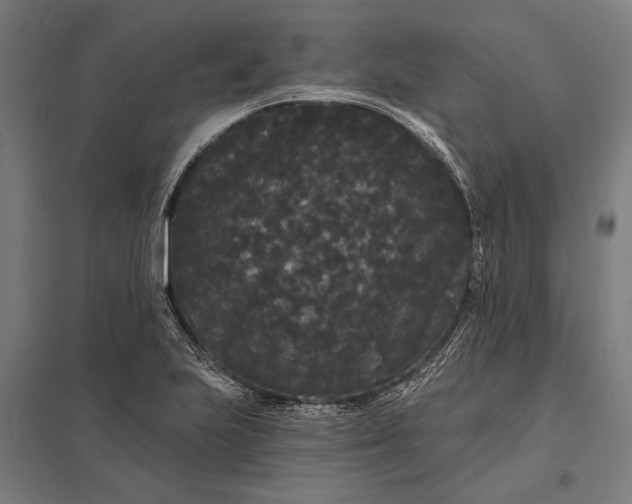 X0000097911223200803281354